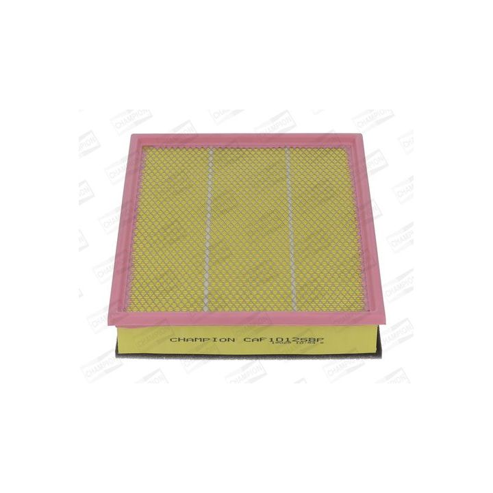 Oro filtras CHAMPION CAF101258P