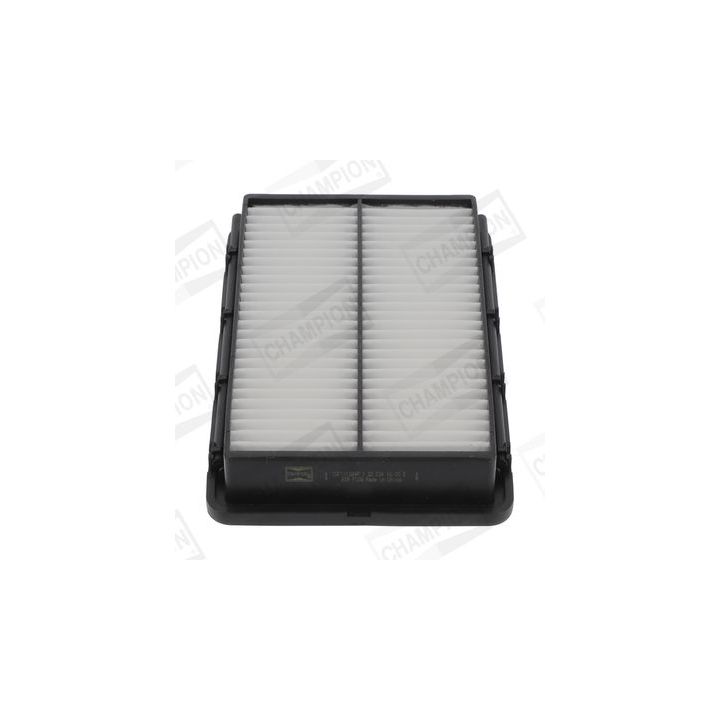 Oro filtras CHAMPION CAF101384P