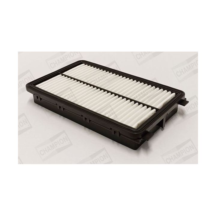 Oro filtras CHAMPION CAF101384P