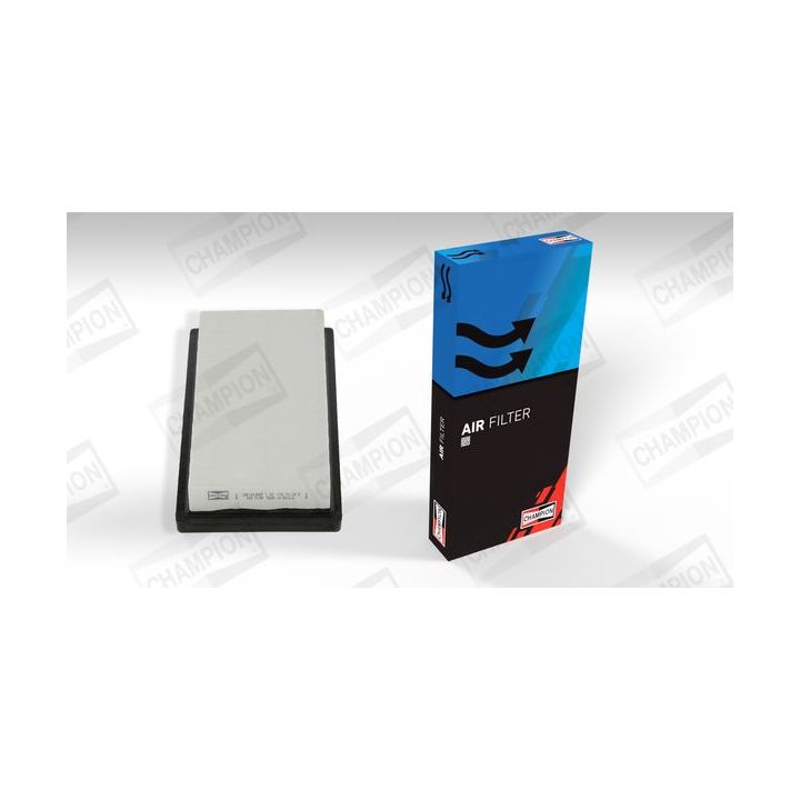 Oro filtras CHAMPION CAF101386P