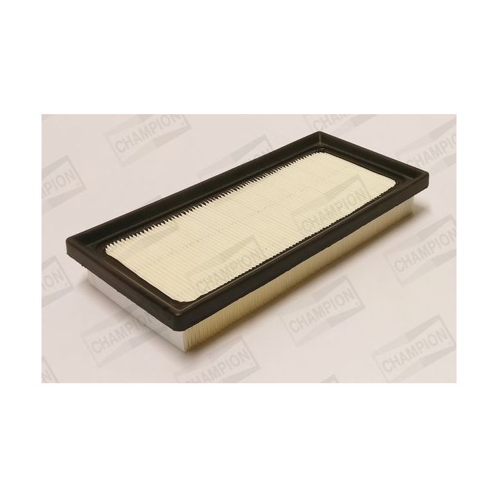 Oro filtras CHAMPION CAF101386P