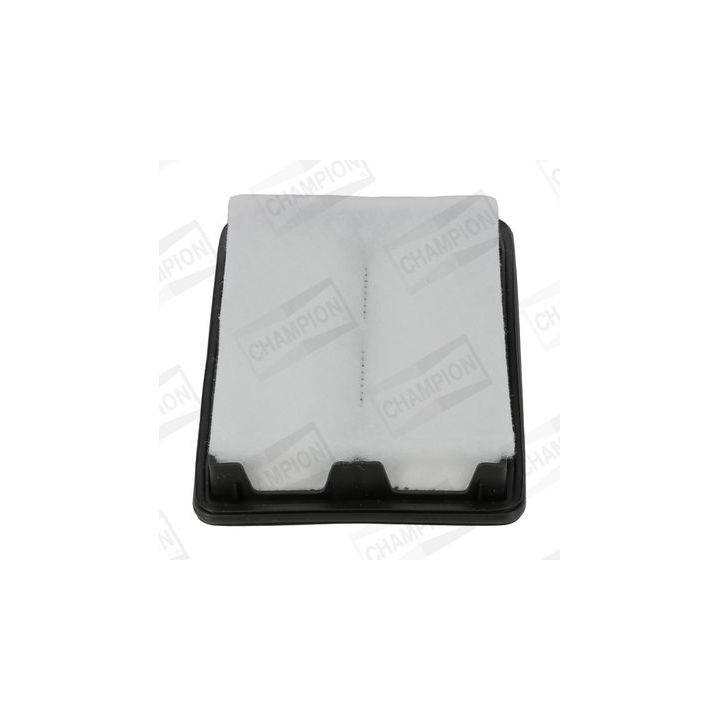 Oro filtras CHAMPION CAF101392P