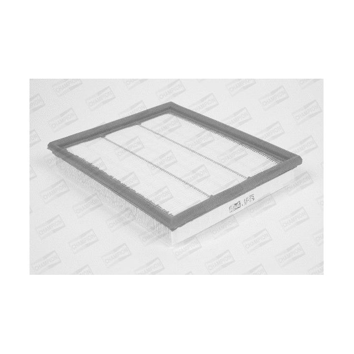 Oro filtras CHAMPION U875/606