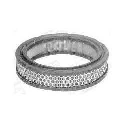 Oro filtras CHAMPION V429/606