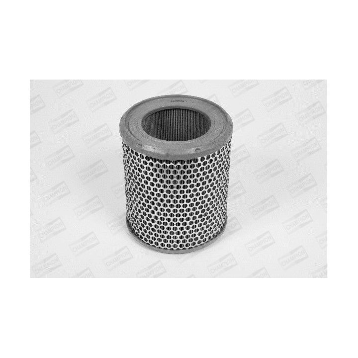 Oro filtras CHAMPION V429/606