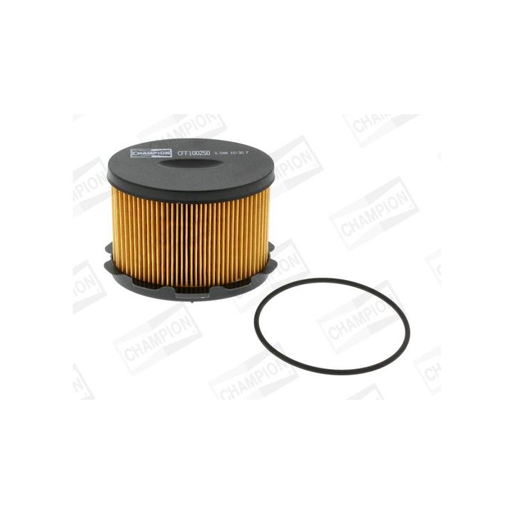 Kuro filtras CHAMPION CFF100250
