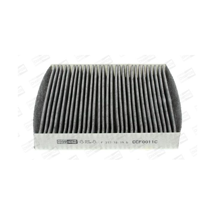 Filtras, salono oras CHAMPION CCF0011C