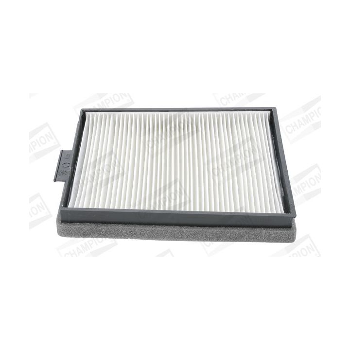 Filtras, salono oras CHAMPION CCF0089