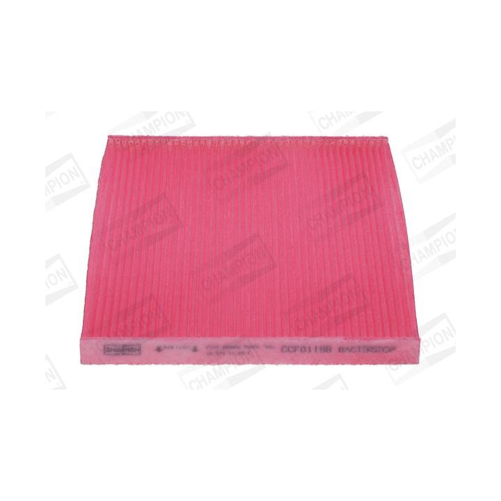 Filtras, salono oras CHAMPION CCF0119B