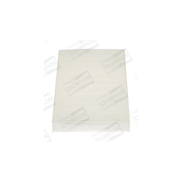 Filtras, salono oras CHAMPION CCF0309