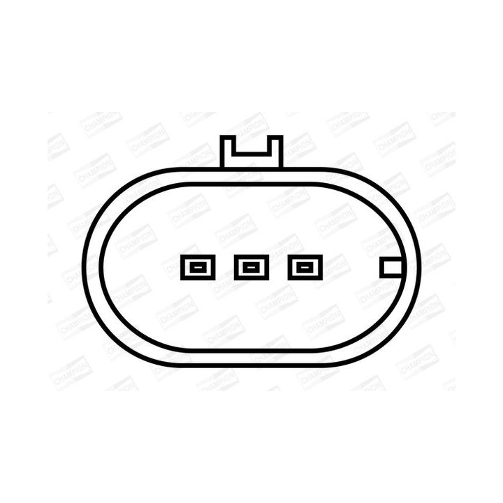 Ritė, uždegimas CHAMPION BAE403B/245