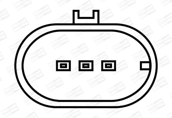 Ritė, uždegimas CHAMPION BAE403B/245