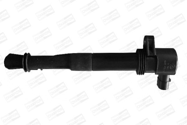 Ritė, uždegimas CHAMPION BAE403B/245