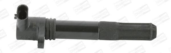 Ritė, uždegimas CHAMPION BAE403C/245