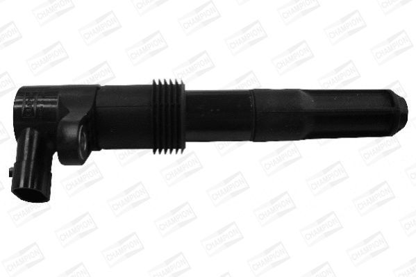 Ritė, uždegimas CHAMPION BAE403D/245