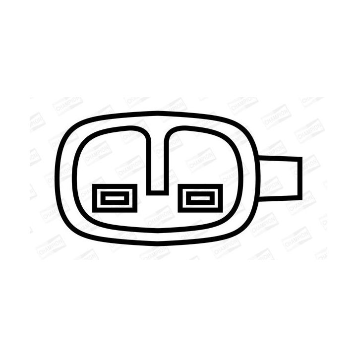 Ritė, uždegimas CHAMPION BAE409A/245