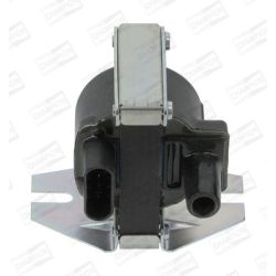 Ritė, uždegimas CHAMPION BAE504D/245