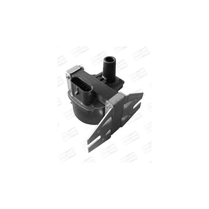 Ritė, uždegimas CHAMPION BAE504D/245