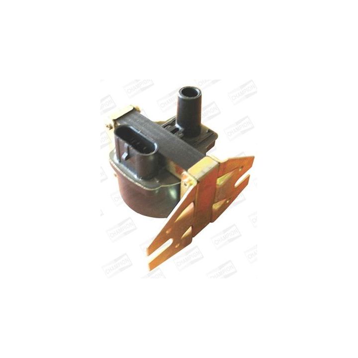 Ritė, uždegimas CHAMPION BAE504DK/245