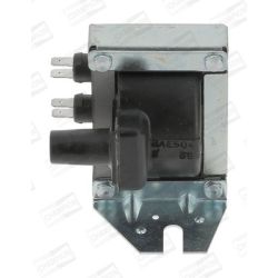 Ritė, uždegimas CHAMPION BAE504F/245