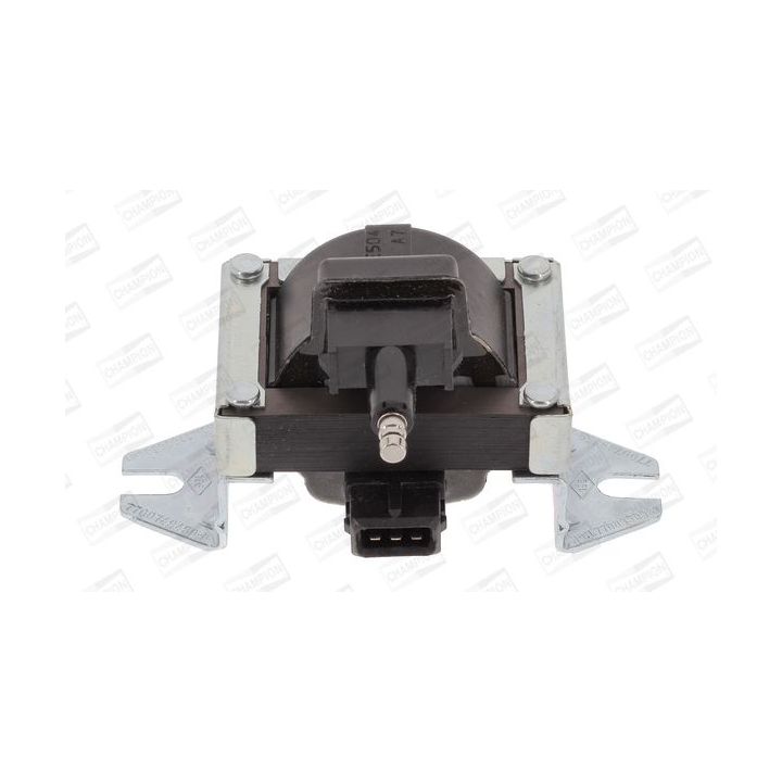 Ritė, uždegimas CHAMPION BAE504L/245