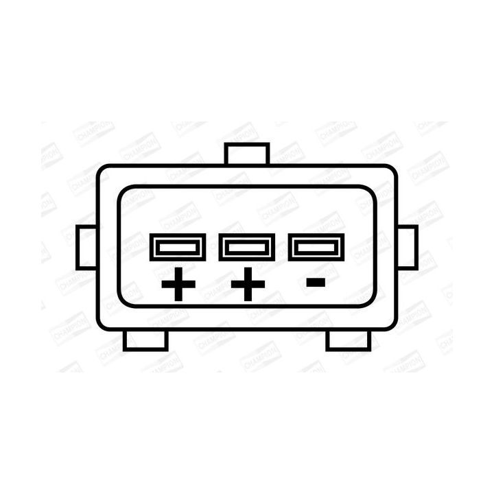 Ritė, uždegimas CHAMPION BAE504L/245