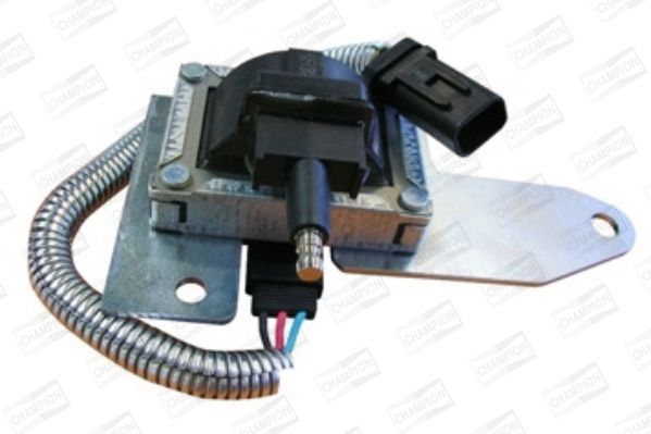 Ritė, uždegimas CHAMPION BAE504R/245