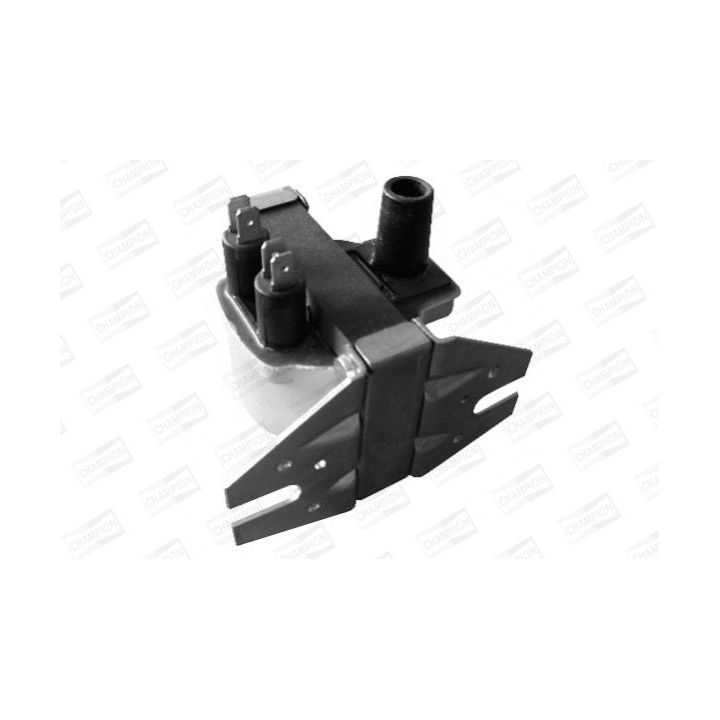 Ritė, uždegimas CHAMPION BAE506F/245