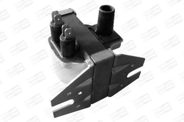 Ritė, uždegimas CHAMPION BAE506F/245