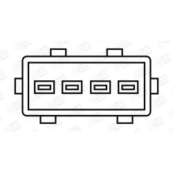 Ritė, uždegimas CHAMPION BAE507BK/245