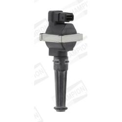 Ritė, uždegimas CHAMPION BAE700AK/245