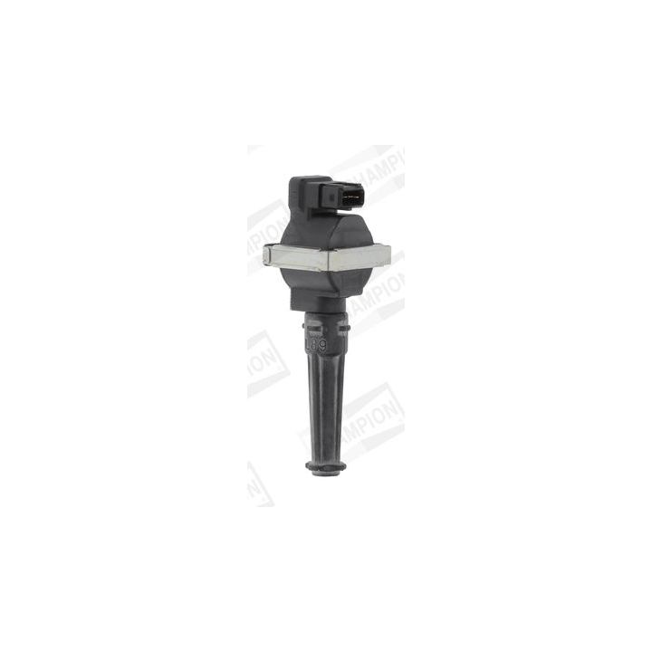 Ritė, uždegimas CHAMPION BAE700AK/245