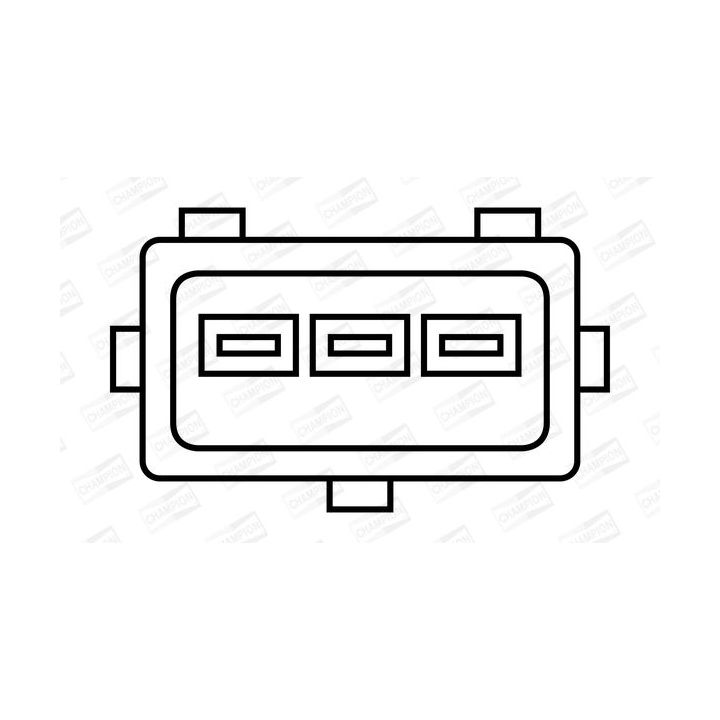 Ritė, uždegimas CHAMPION BAE700AK/245