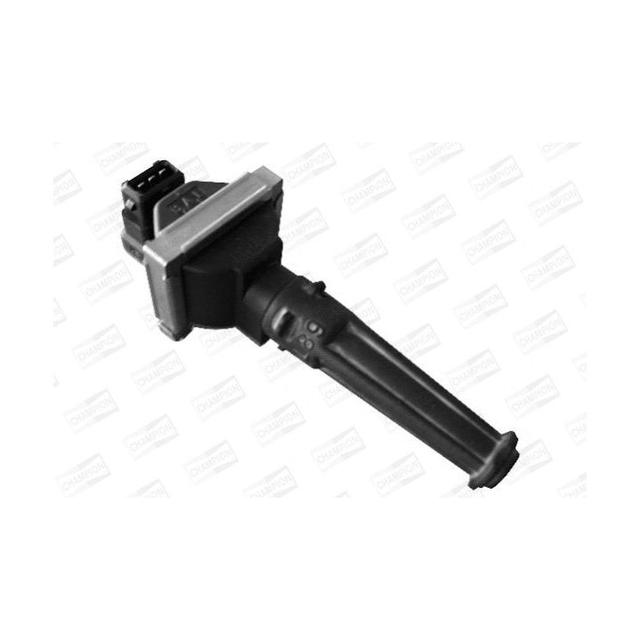 Ritė, uždegimas CHAMPION BAE700AK/245