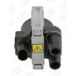 Ritė, uždegimas CHAMPION BAE800B/245