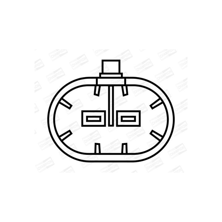 Ritė, uždegimas CHAMPION BAE800B/245