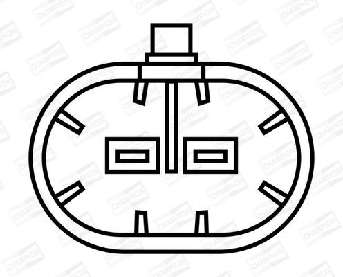 Ritė, uždegimas CHAMPION BAE800B/245
