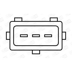 Ritė, uždegimas CHAMPION BAE801AK/245