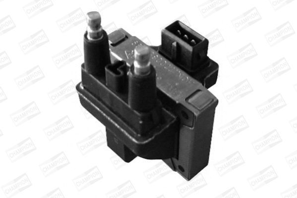 Ritė, uždegimas CHAMPION BAE801AK/245