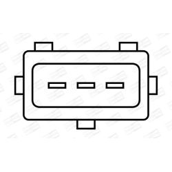 Ritė, uždegimas CHAMPION BAE801BK/245