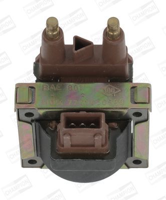 Ritė, uždegimas CHAMPION BAE801CK/245