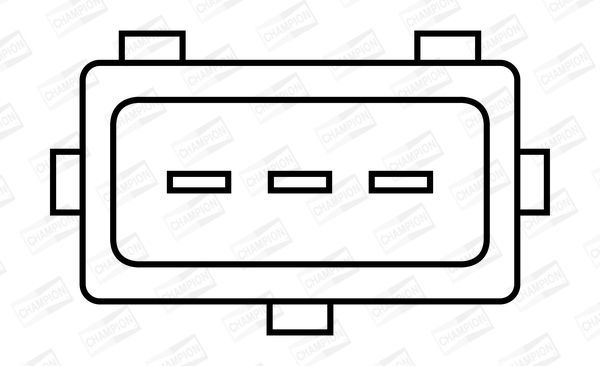 Ritė, uždegimas CHAMPION BAE801CK/245