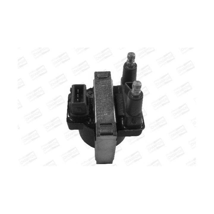 Ritė, uždegimas CHAMPION BAE801CK/245