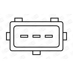 Ritė, uždegimas CHAMPION BAE801EK/245