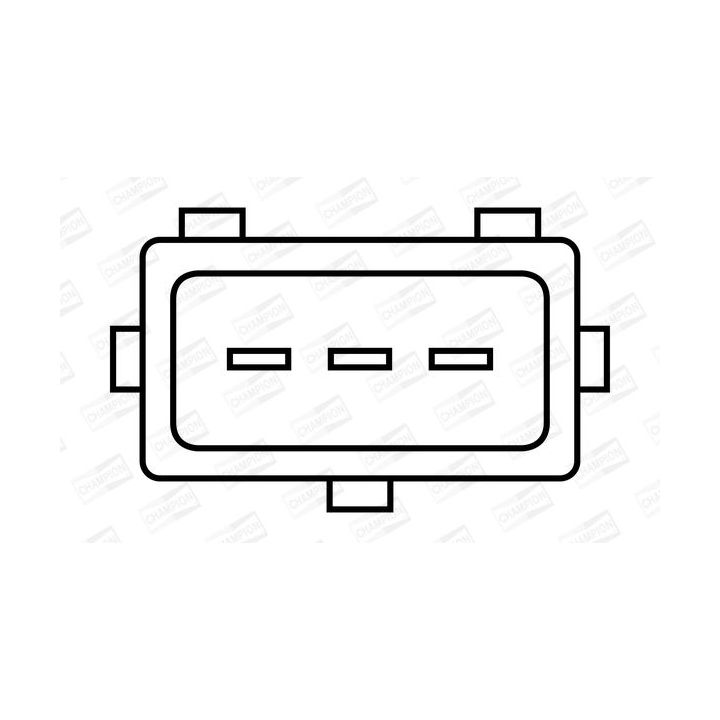 Ritė, uždegimas CHAMPION BAE801EK/245