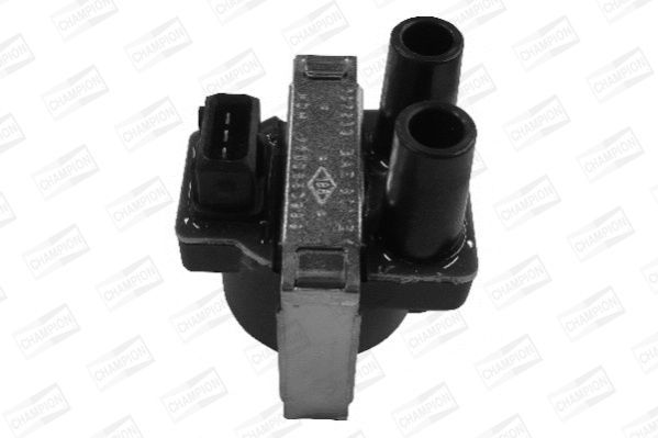 Ritė, uždegimas CHAMPION BAE801EK/245