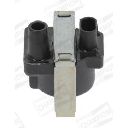 Ritė, uždegimas CHAMPION BAE850AK/245