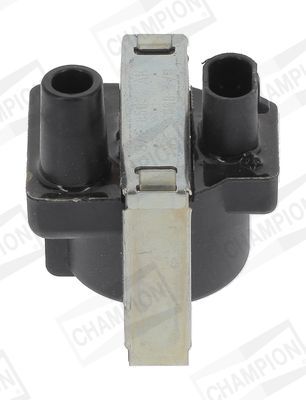 Ritė, uždegimas CHAMPION BAE850AK/245