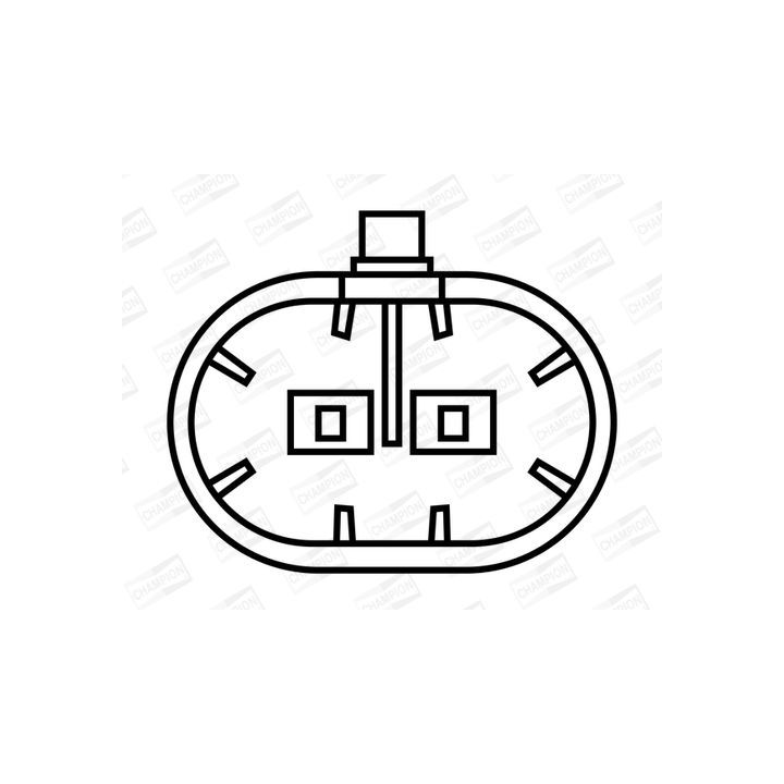 Ritė, uždegimas CHAMPION BAE850AK/245