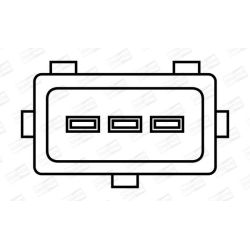 Ritė, uždegimas CHAMPION BAE920AX/245